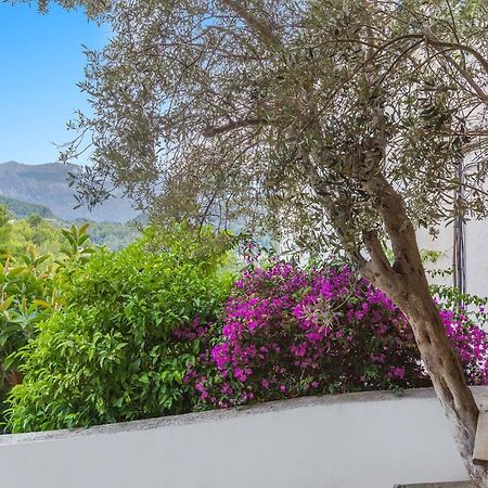 Bellavista 22 Διαμέρισμα Puerto de Sóller Εξωτερικό φωτογραφία